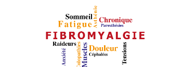 fibro-visuel